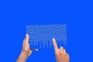 探寻数字资产新纪元，揭秘最安全的欧一APP入口币交易所