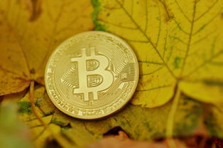 数字黄金蚕食战，比特币挑战黄金地位，挖矿经济重构市场逻辑