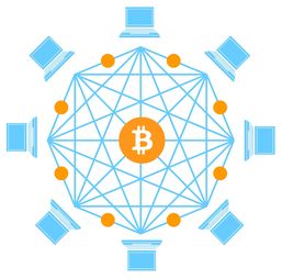 202X年X月X日主流数字货币市场走势简析