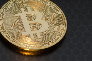 贝币是实物货币吗？探析中国早期天然货币的本质