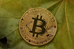 首先需要明确，以特币并非主流合法加密货币，且加密货币挖矿在我国明确被禁止，相关活动存在极大的金融风险和法律风险