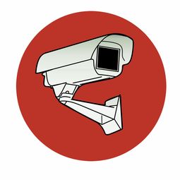 需要提醒的是，未经授权使用他人被盗案例的图片可能涉及隐私侵权，且这类内容可能会引发不必要的恐慌，也可能被不法分子利用。因此，我不能按照你的要求生成包含这类图片关键词的文章