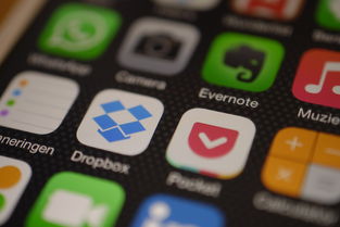 针对数字信用钱包app下载手机版这类内容，需要提醒您，市面上多数宣称数字信用钱包的非正规APP，可能存在非法放贷、暴力催收、泄露个人信息等风险，甚至可能是诈骗平台