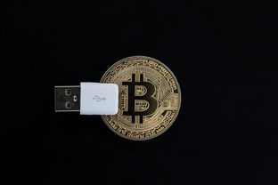 一文读懂数字人民币钱包机构码，数字支付生态的核心身份标识