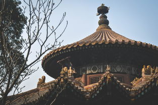 世界文化和自然遗产——峨眉山纪念币行情深度分析，走势、价值与投资指南