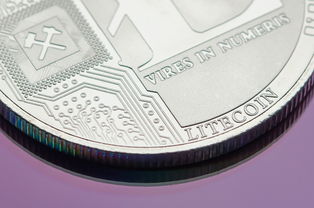 能玩的主流币有哪些？2024年加密货币主流币种全梳理