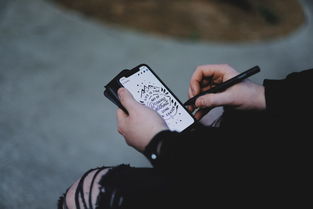 超火数字钱包可爱女生头像，把软萌装进每一笔线上交易