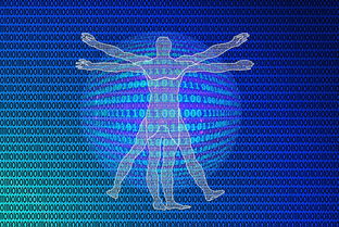 解锁数字新蓝海，区块链生态业务投资的机遇与实战指南